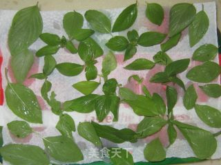 罗勒香草油的做法步骤：2