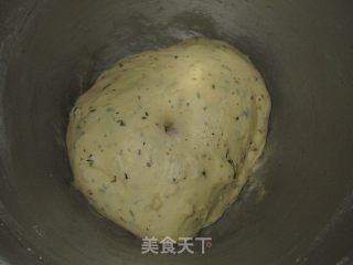 罗勒餐包的做法步骤：4