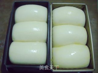 100%中种北海道吐司（2个450克吐司模）的做法步骤：12