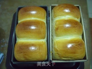 100%中种北海道吐司（2个450克吐司模）的做法步骤：13