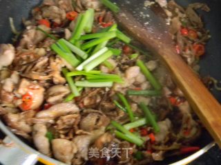 杂菇鸡肉丁的做法步骤：10