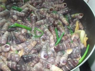 美味姜葱炒海钉螺的做法步骤：9