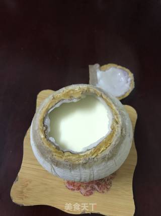 椰子炖奶的做法