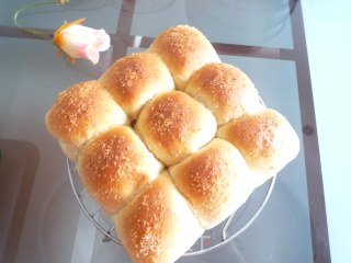 小麦胚芽餐包的做法步骤：12