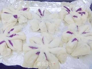 【怡汝烘焙】紫薯诱惑-紫薯花样面包的做法步骤：13