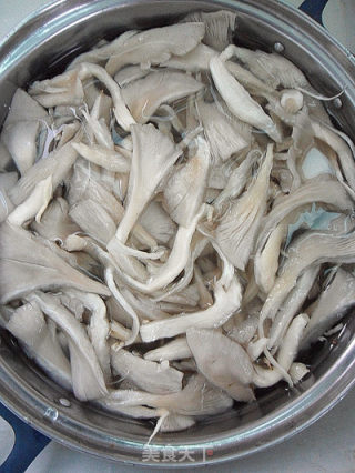 【家常菜】蚝油平菇 （5分钟快手菜）的做法步骤：4