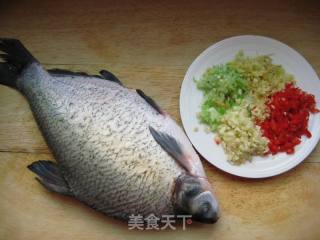 适合新手宴客的海鲜菜—豉椒武昌鱼的做法步骤：1