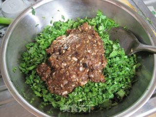 茼蒿肉馅饺子的做法步骤：11