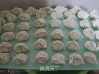 茼蒿肉馅饺子的做法步骤：14