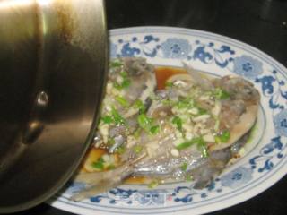 蒜味水煮鲳鱼的做法步骤：7