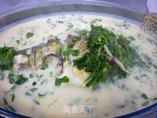 上汤秧草鳜鱼的做法步骤：9