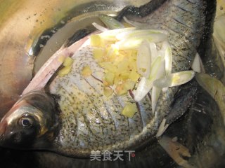 清蒸鳊鱼的做法步骤：2
