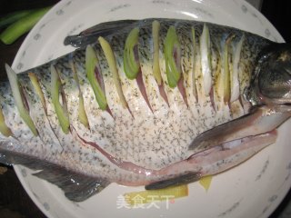 清蒸鳊鱼的做法步骤：3