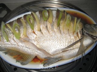 清蒸鳊鱼的做法步骤：6