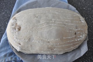 完全天然酵母发酵 – 超有弹性的红糖核桃面包的做法步骤：12