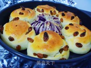 【怡汝烘焙】尝试做---葡萄干面包的做法步骤：15