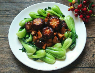 蚝油香菇青菜的做法