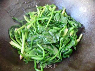家常菜----鱼香菠菜的做法步骤：3