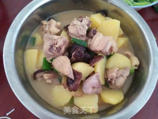 土豆烧鸡块的做法