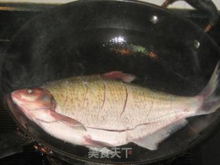 红油豆瓣酱烧鳊鱼的做法步骤：2
