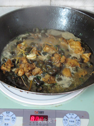 冬季养生明目菜——石螺土鸡煲的做法步骤：9