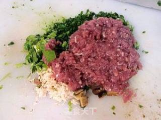 【Ta 唯一喜欢的面食】鲜味锅贴的做法步骤：3
