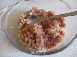 飘香萝卜丸子的做法步骤：7