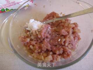 飘香萝卜丸子的做法步骤：9