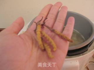 冬季养生汤：虫草萝卜排骨汤的做法步骤：7