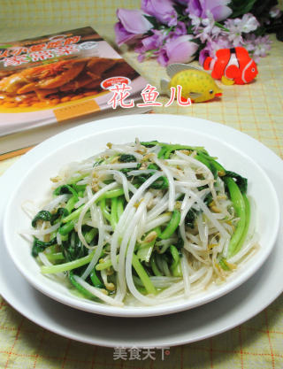 鸡毛菜炒绿豆芽的做法