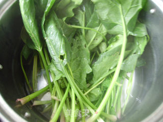 家常菜----菠菜炒粉条的做法步骤：1
