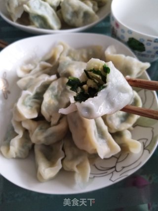 韭菜鸡蛋虾米饺子的做法