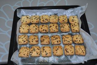 永不失败的蔓越莓饼干的做法步骤：9