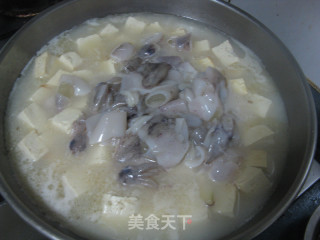 笔管炖豆腐的做法步骤：7