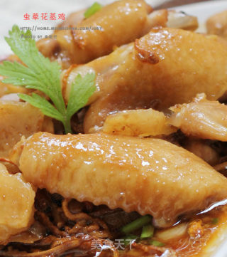 不寒不燥，冬季进补好选择---虫草花蒸鸡的做法步骤：12