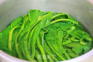 辣菜的做法步骤：3