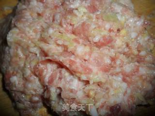 豆角肉馅饺子的做法步骤：4
