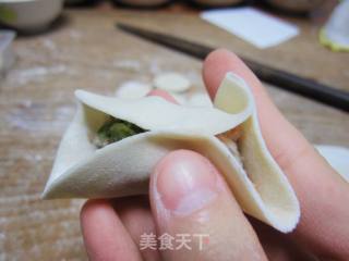 小文子出品~~[豆角馅蒸饺]的做法步骤：15