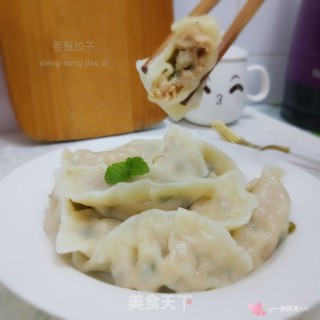 香葱饺子的做法