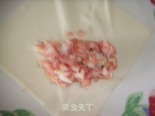 蟹肉春卷的做法步骤：8