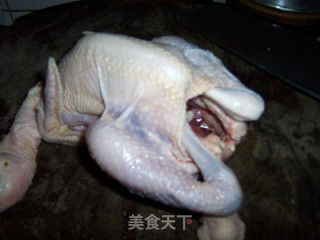 枸杞鸡肉煲的做法步骤：1