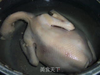 枸杞鸡肉煲的做法步骤：4