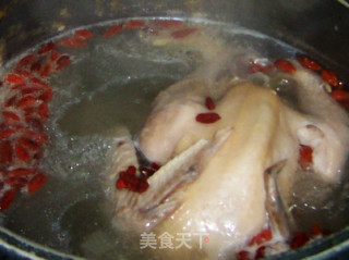 枸杞鸡肉煲的做法步骤：8