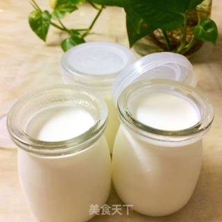 自制酸奶的做法