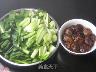 金钱菇炒青菜的做法步骤：1