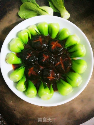 蚝油香菇青菜的做法