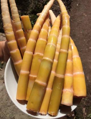 泡竹笋的做法