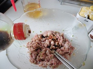 翡翠牛肉煎饺的做法步骤：5