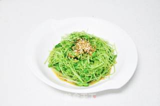 香松拌豆苗的做法