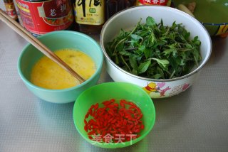 枸杞芽炒鸡蛋的做法步骤：2